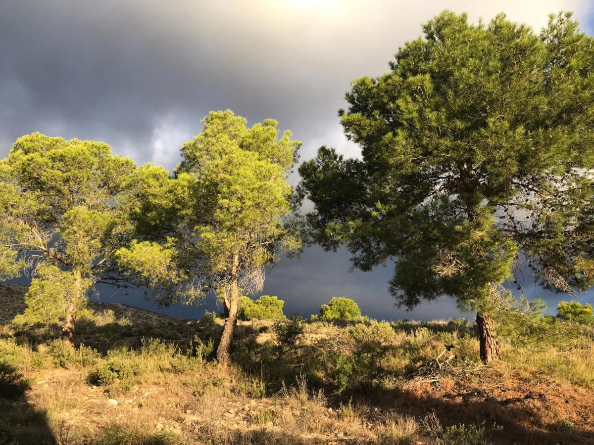 Aigues Finca El Otero المظهر الخارجي الصورة